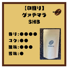 【シングルオリジン】グァテマラSHB　100ｇ【自家焙煎珈琲豆】