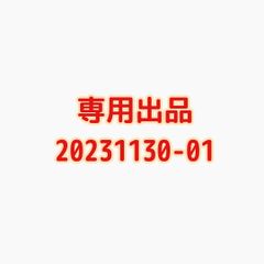 専用出品20231130
