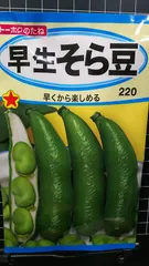 そら豆　LMS12kg そら豆LMS12kg