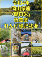 令和4年岡山県産　低農薬『れんげ緑肥栽培』『朝日米』玄米10キロ　送料無料