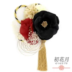 髪飾り 成人式 水引 赤 振袖 袴 花 芙蓉 黒 白 ゴールド 房 組紐 ビーズ かすみそう 大きい 小さい Uピン コーム かわいい おし No.12-0556