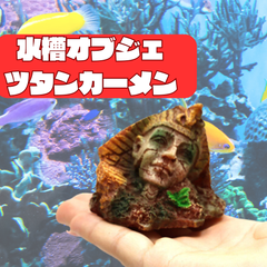 水槽 オブジェ レイアウト  ツタンカーメン 古代 隠れ家 おしゃれ 大きい オーナメント オーナメント 置物 ジオラマ  アクアリウム  おしゃれ  オシャレ  隠れ家 流木 土管   遺跡 アクセサリー 可愛い 隠れ家 どじょう 土管 洞窟 金魚