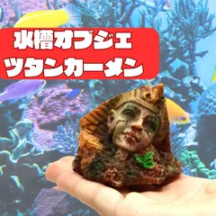 雲山石TTD 91666 ドラゴンの洞窟。水槽。流木。水槽。水生植物。