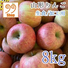山形りんご 生食/加工用 8kg 2899円  山形県産 訳あり家庭用