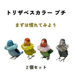 2024年最新】コザクラインコ エリザベスカラーの人気アイテム - メルカリ