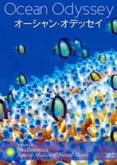 全巻セット【中古】DVD▼プランダラ(8枚セット)第1話～第24話 最終 レンタル落ち Amazon.co.jp: プランダラ 全8枚 第1話～第24話 最終 レンタル