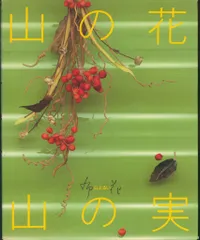 安田早葉子 山上るい 2025年最新】山上 るい 本の人気アイテム - メルカリ