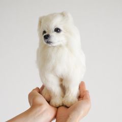 shop-thumbnail