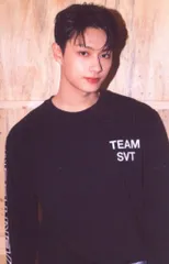 SEVENTEEN 2022 6th FANMEETING CARAT LAND JUN トレーディングカード 0017