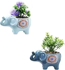 2026年最新】象 プランターの人気アイテム - メルカリ