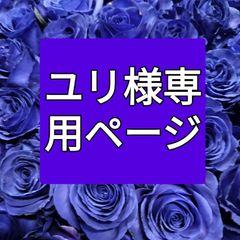 バラ  青染  ４５センチ２０本❨生花 切り花 花束❩