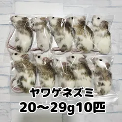 爬虫類のエサ　冷凍ヤワゲネズミ　20〜29g 10匹　個包装のサムネイル