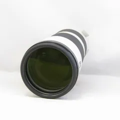2026年最新】SONY FE 200-600mm F5.6-6.3の人気アイテム - メルカリ