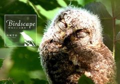☆値下げ☆写真集　Birdscape　野鳥のいる風景　（有）TBLP  ※値引き商品（圧着不良のため）