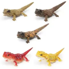 【中古】トレーディングフィギュア 全5種セット 「いきもの大図鑑レプティ アルマジロトカゲとフトアゴヒゲトカゲ」のサムネイル