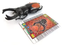 クワガタトレーディングカードセット MUSHI JINGI トレーディングカードセット - メルカリ