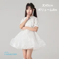 2025年最新】ミディオーガンジーパニエの人気アイテム - メルカリ