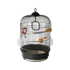 Item thumbnail for item f6d3f236-2913-4240-b4a2-e1326a93412c