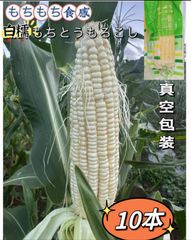 3セット限定❣️常温便❣️10本❣️真空パック　白糯もちとうもろこし 粘玉米  訳あり　100円引きクーポン配布中❣️北海道沖縄の方は追加料金が必要❣️