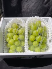 どんぐりころころ様専用！感謝祭❗️化粧箱入❗️送料無料❗️家庭用　岡山県産　シャインマスカット　2〜3房