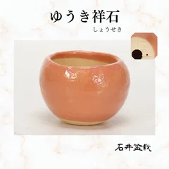 2025年最新】鉢 祥石の人気アイテム - メルカリ