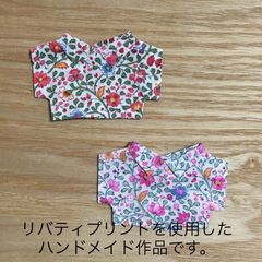 10cmぬい 服