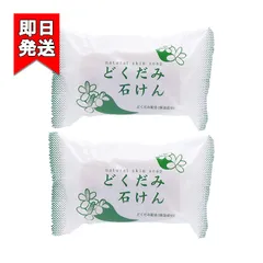 地の塩社 ちのしお どくだみ石けん 130g 2個セット DNスキンソープN 洗顔料 洗顔 全身用 固形石けん 石鹸のサムネイル