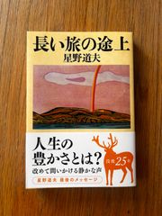 長い旅の途上