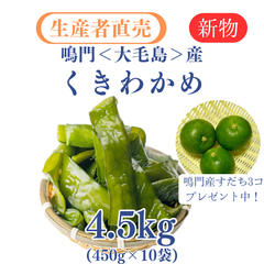 「生産者直売」鳴門くきわかめ 450g×10個