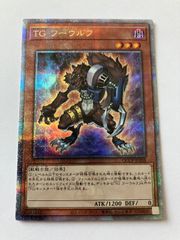 TGストライカー3枚　ウルトラ　TGワーウルフ2枚　シークレット　英語 Amazon.co.jp: 遊戯王カード TG ワーウルフ(シークレットレア