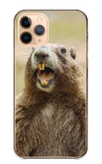 iPhone 17 ケース カバー アイフォン17 スマホケース ハードケース マーモット まーもっと 叫ぶ 動物 あにまる 癒し 可愛い かわいい 写真 山脈 リス科 カラー01