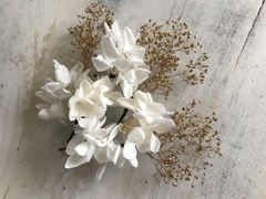 ドライフラワーラナンキュラスとアオギリのホワイトブーケ スワッグ  
