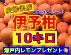 大人気！伊予柑10キロ家庭用　レモン1個プレゼント！