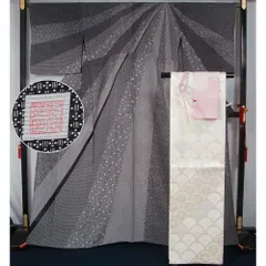 新品仕立上品 夏物 絽 訪問着・袋帯・帯揚げ・帯締め ４点 セット 誂友禅染競技会 京都商工会議所会頭賞 モノトーンライン割り付け模様 裄長・トールサイズ 正絹 【送料無料 夏着物 セット フォーマル 夏の着物 夏 】
