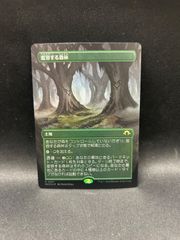 MTG・黒】Metamorphosis Fanatic/変化の狂信者 拡張枠 (英語