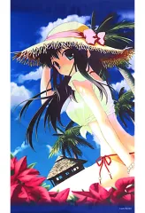 アリス砂浜バスタオル 「すぴぱら」 秋葉原電気外祭り　minori アリス砂浜バスタオル 「すぴぱら」 秋葉原電気外祭り minori