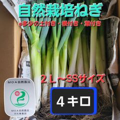 台風により9月1日からの発送❗【土付き・根付き・葉付き】自然栽培ネギ　４キロ