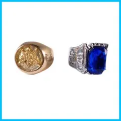 未使用 美品 黒執事 指輪 13号 公式品 アニメイト 2008 入手困難 レア