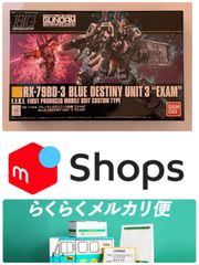HGUC ブルーディスティニー3号機　EXAM