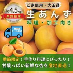 生あんず～料理・加工向き～【内容量】約4.5kg【配送方法】クール配送【サイズ】L以上【品目】杏（あんず）【品種】当店お任せ【産地】長野県【規格】ご家庭用A品B品混合【詰め方】バラ詰め【配送までの日数】1～4日