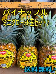 デルモンテ　パイナップル　ミニグロー×6玉セット