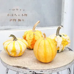 2025年最新】かぼちゃ観賞用の人気アイテム - メルカリ