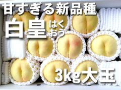 【冷蔵便】岡山産　　白皇　10玉～13玉　約3ｋｇ　1箱　発送：8月中旬～　光センサー糖度測定品