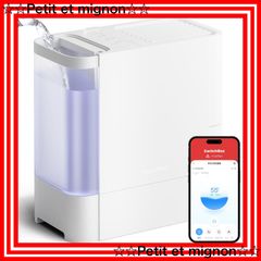 Item thumbnail for item e9780b1a-98a9-486c-b77b-ef5829417daa