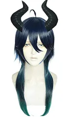 【専用ページ】るる様 ウィッグオーダー　マレウス•ドラコニア Amazon.co.jp: マレウス・ドラコニア コスプレウィッグ : ホビー
