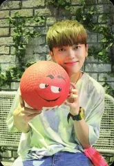 【中古】コレクションカード(男性) ONF(オンエンオフ)/エムケイ(MK)/裏面黄/CD「ON/OFF (韓国盤)」封入特典フォトカード