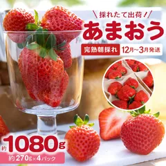 【採れたて発送】福岡県産いちご あまおう２箱４パック入り
