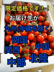 ※お届け先限定！ミニトマト千果２ｋｇのサムネイル