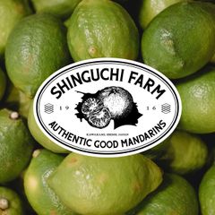 愛媛県産 訳あり グリーン レモン 30kg【防腐剤・ワックス不使用】【送料無料】農家直送 創業108年 愛媛みかん の老舗 新口農園