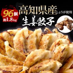 《生姜餃子96個》 (※高知県産生姜使用) 一龍堂 餃子 ※北海道・沖縄・離島発送不可